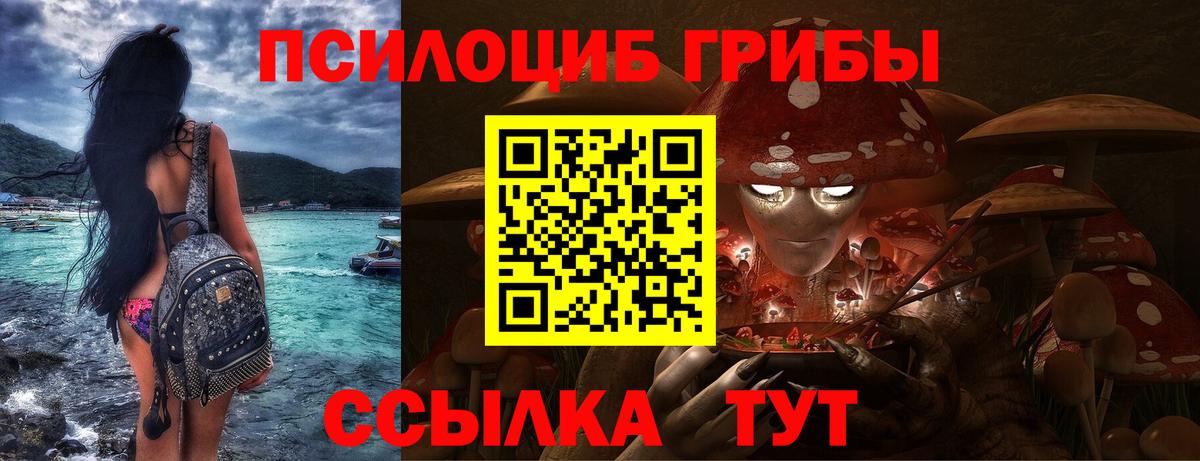 Псилоцибиновые грибы Magic Shrooms Артём