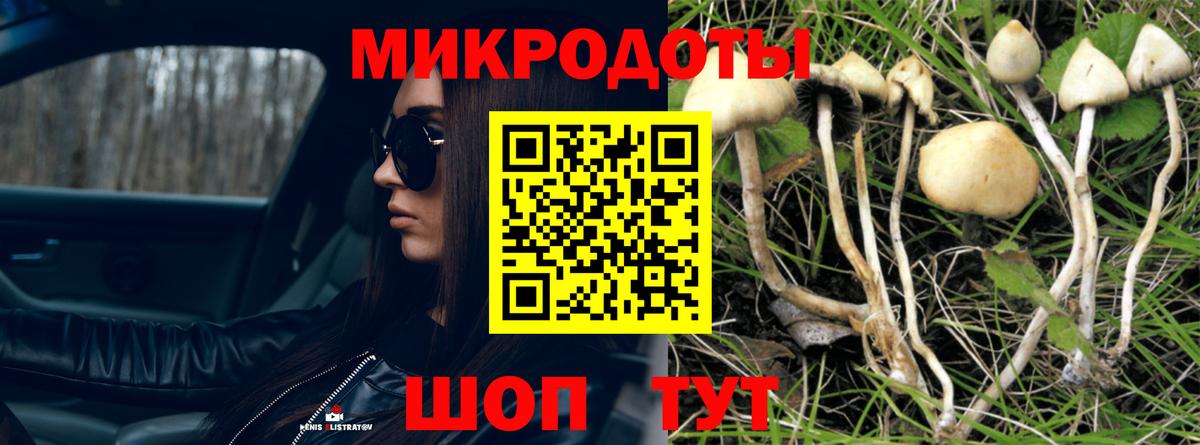 Артём  Галлюциногенные грибы Psilocybe  Галлюциногенные грибы Magic Shrooms  Вход с VPN 
